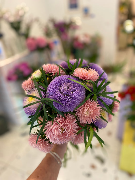 Fleur de saison : l'aster, la star de l'automne