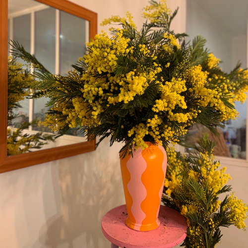 Le Mimosa : l'incontournable du mois de janvier