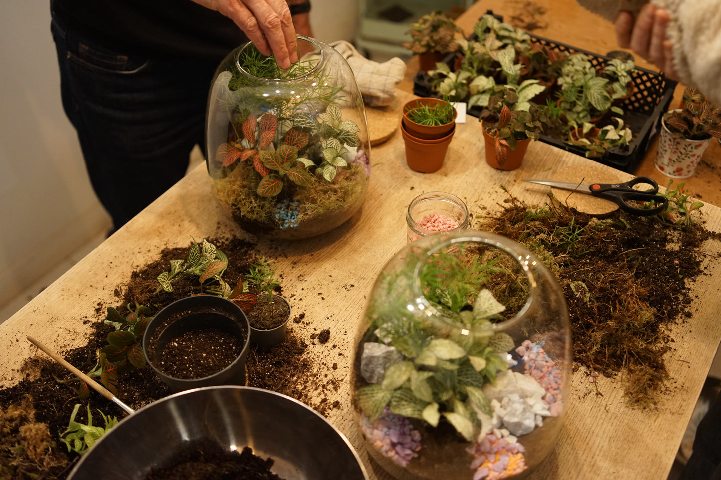 Nos ateliers à Nantes 👩🌾