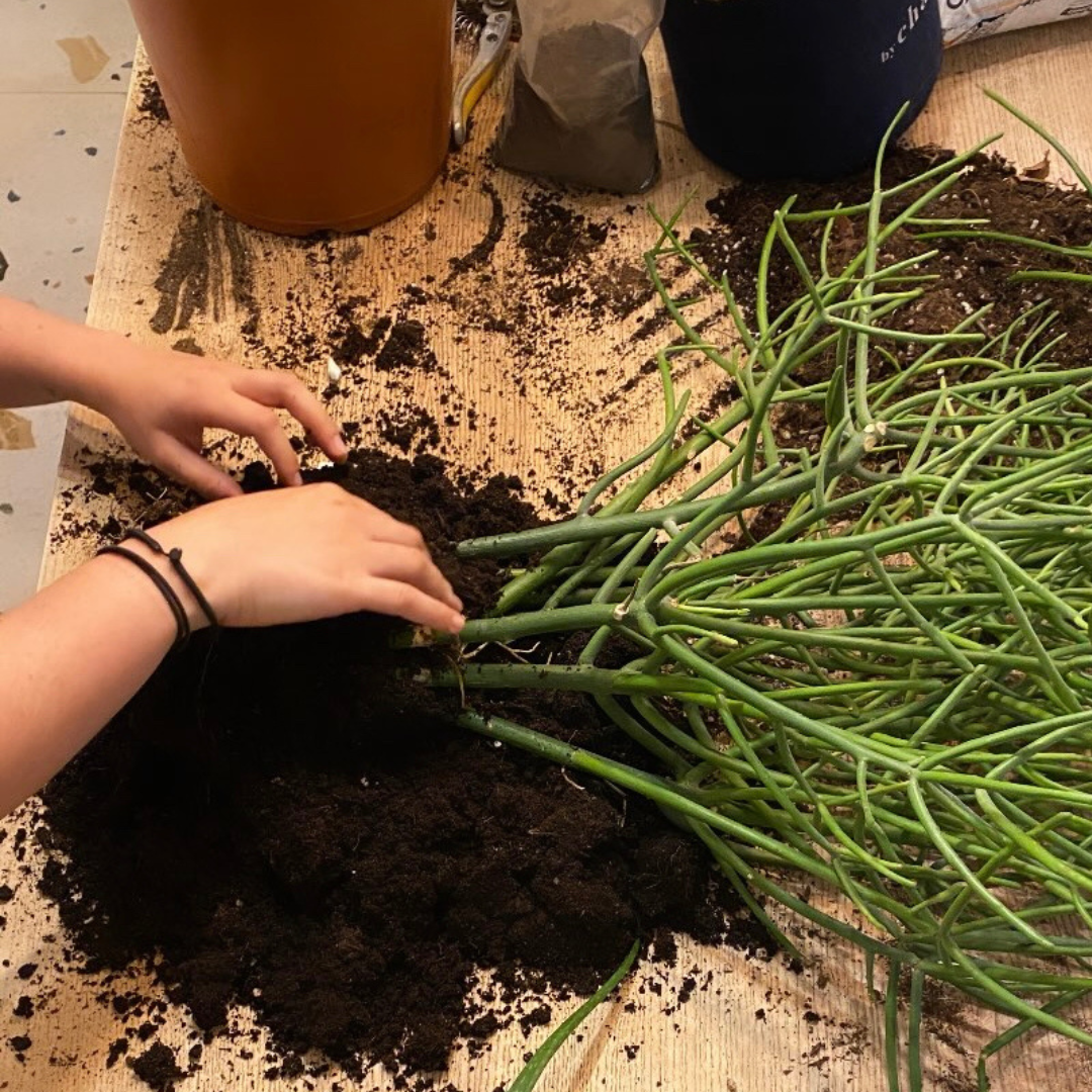 Nos ateliers 👩🌾