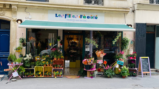 Tout lâcher pour ouvrir un commerce, la réalité après 4 ans